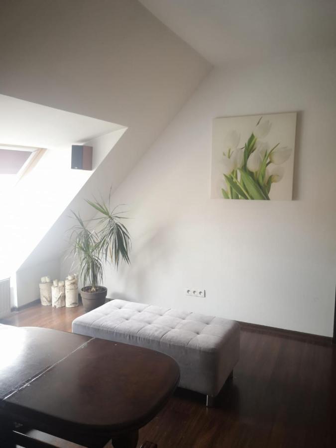 ראסיבורז' Apartamenty Lena 16 Twoje Poddasze מראה חיצוני תמונה